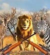 非洲丛林狩猎