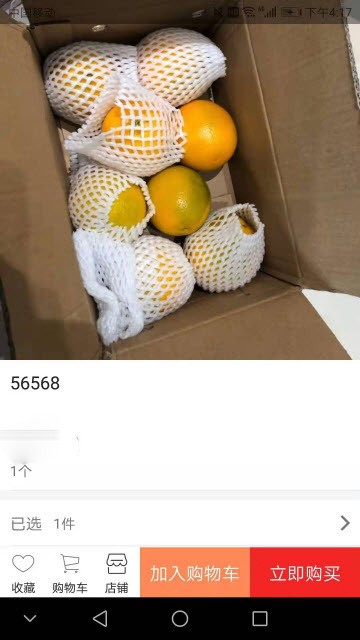 24集截图
