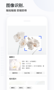 簡單搜索截圖
