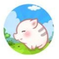 养香猪