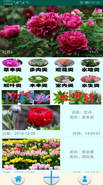 绿植花卉截图