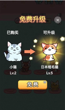 天天撸猫猫红包版截图