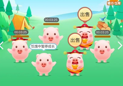 猪多多手游