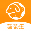 菠菜汪手机版