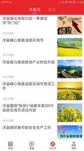 愛(ài)洋縣截圖