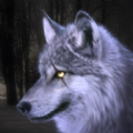 狼模拟器3D的野生动物