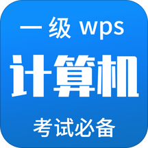 计算机一级WPS