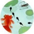 墨虾探蝌3D游戏图标