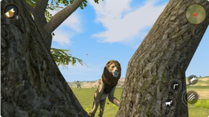 野生狮子生存模拟器截图1