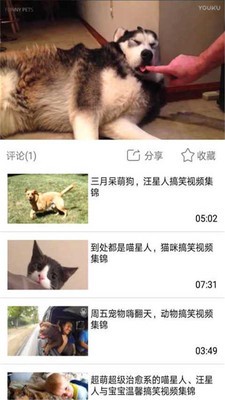 火山搞笑视频截图