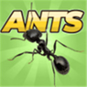 口袋蚂蚁模拟器