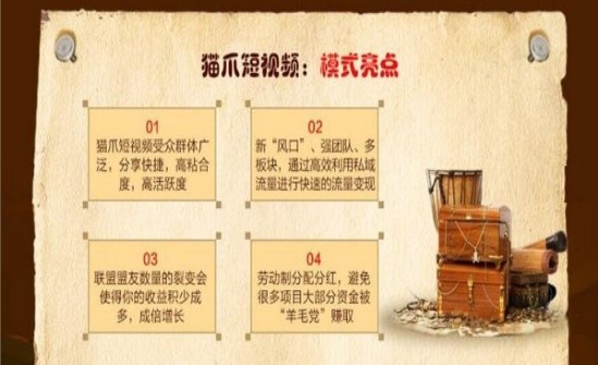 猫爪短视频截图