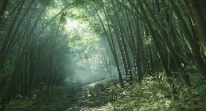 对马岛之魂竹场在哪里 对马岛之魂全部竹场位置介绍