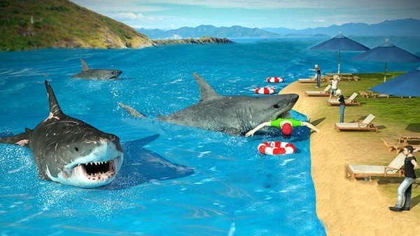 鲨鱼捕猎手截图2