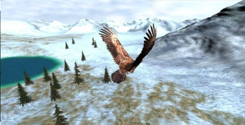 鹰狩猎之旅手机版截图2