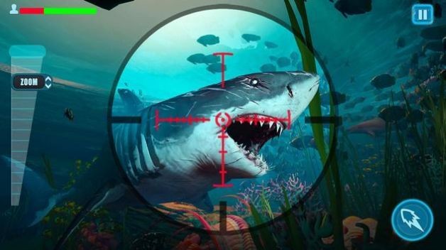 生存鲨鱼游戏截图3