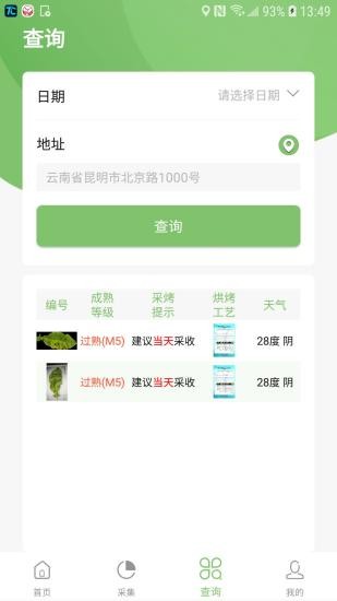 看叶识熟截图
