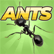 口袋蚂蚁模拟器游戏