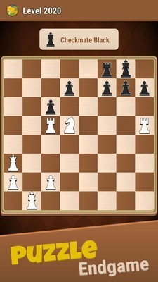 国际象棋城堡截图4