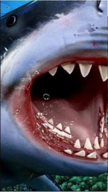 狩猎食人鲨截图1