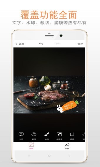 图片加文字大师截图