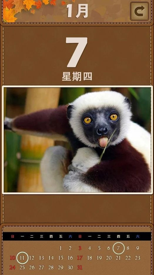 萌宠日历截图
