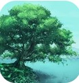 树