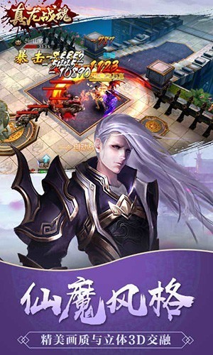 真龙战魂手游截图