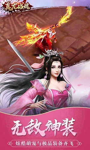 真龙战魂手游截图