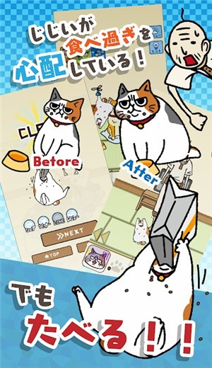 为饥饿的猫寻找饲料截图