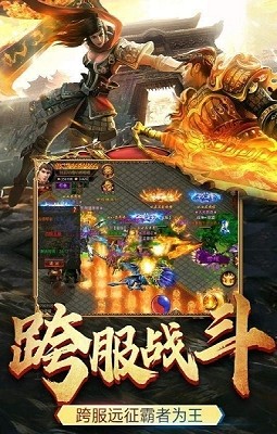 战龙忘忧传奇截图