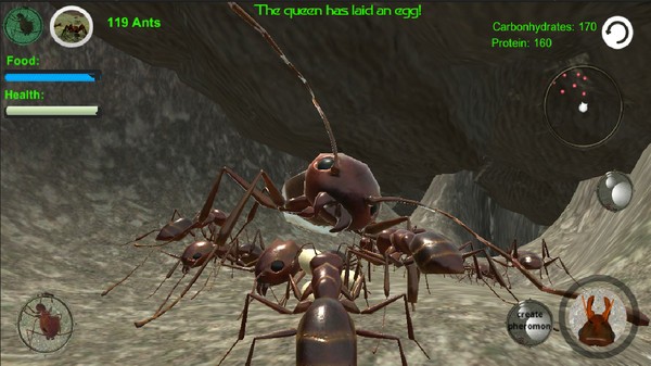 蚂蚁模拟3D截图1