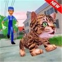 猫咪模拟器2021
