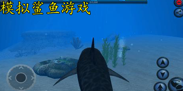 模拟鲨鱼