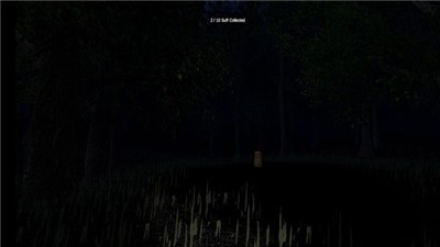 黑暗森林截图2
