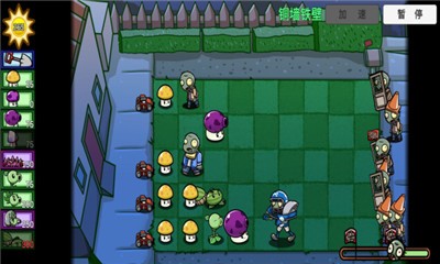 PVZBT測試版截圖