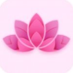 桃花岛盒子