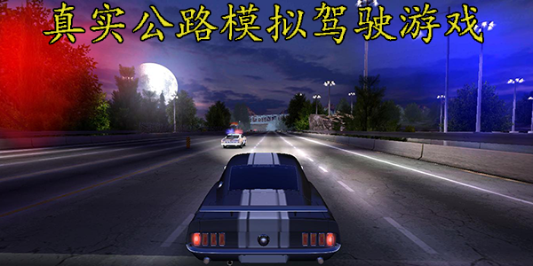 真实公路模拟驾驶游戏