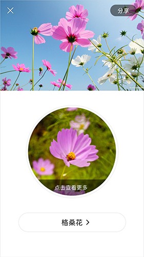 識(shí)花截圖