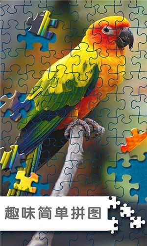 拼圖秘密花園截圖