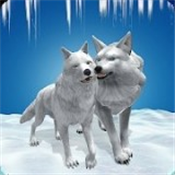 雪狼玩耍下载,休闲益智手游安卓版v2.4