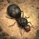 蚂蚁地下王国基因系统版本