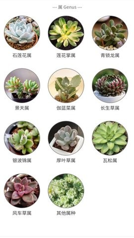 多肉植物陪护记截图1