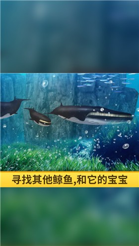 海洋3d蓝鲸模拟截图1