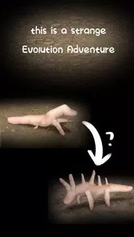 手指错觉截图1