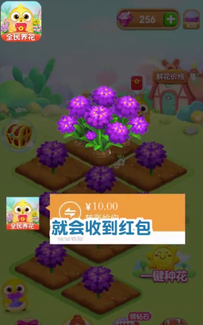 全民養(yǎng)花紅包正版截圖