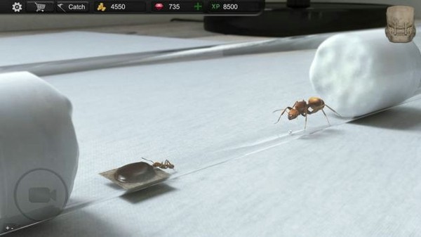 蚂蚁模拟大亨中文2023截图3
