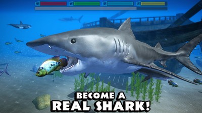 真正的鲨鱼模拟器截图3