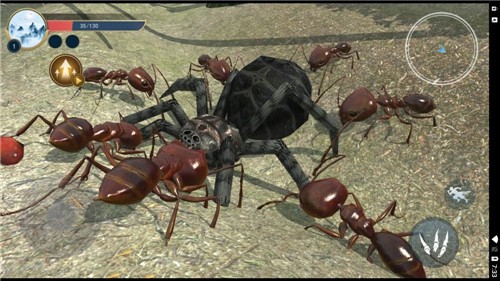 蚂蚁生存日记截图3