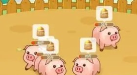 养猪赚钱